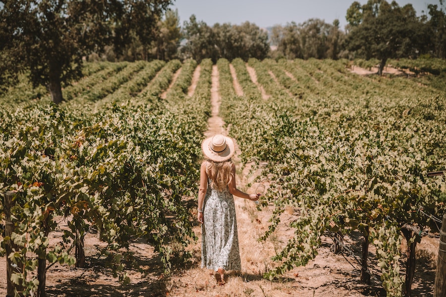Girl standing in vineyard in Paso Robles