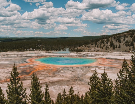 View of Grand Prismatic Spring from the overlook
